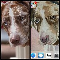 Image result for iPhone Lock Screen Message Cute