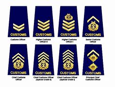 Image result for CIA Agent Ranks
