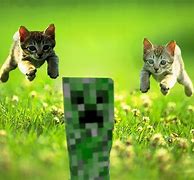 Image result for Gamer Cat Girl