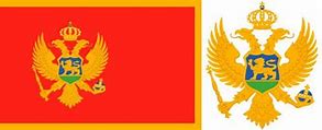 Image result for Flag of Montenegro