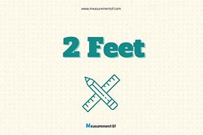 Image result for Things That Are 2 Feet Long