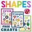 Image result for Preschool Basic Shape Chart