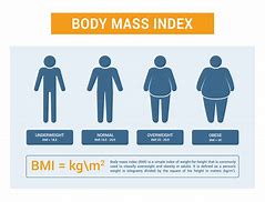 Image result for What Does a Normal BMI Look Like
