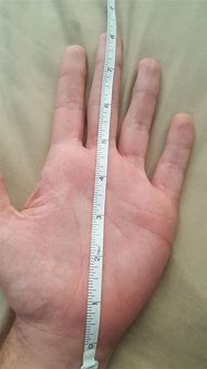 Image result for 5 Inch Hands