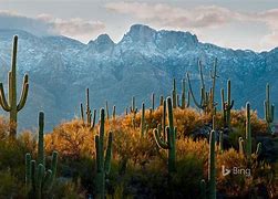 Image result for AZ Winter Tucson Big Wallpapers
