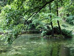 Image result for Bosna RiverSource