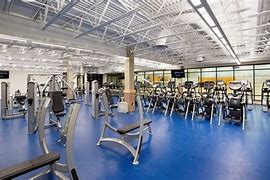 Image result for Hillsdale College Gym