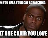 Image result for Cat Named Chair Facebook Meme