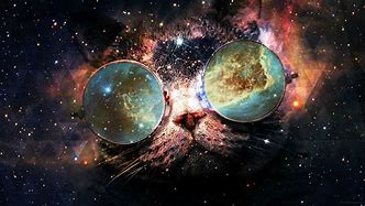 Image result for Cosmic Cat