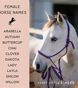 Image result for White Horse Names Female