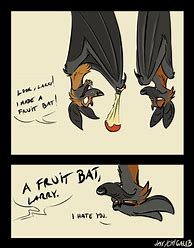 Image result for Funny Fruit Bat T-shirt