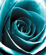 Image result for Turquoise Flowers Wallpaper Background