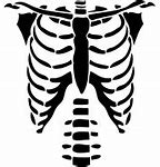 Image result for Halloween Skeleton Transparent