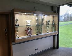Image result for Wall Mounted Trophy Case