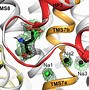 Image result for Aspartate Aminotransferase AST