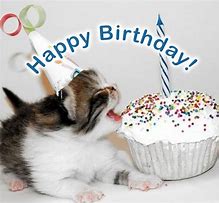 Image result for Kitty Cat Says Happy Birthday