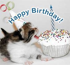 Image result for Cat Birthday Wishes