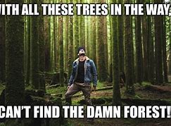 Image result for Forest for the Trees Meme