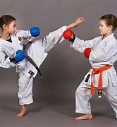 Image result for Karate Tournament