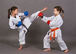 Image result for Martial Arts Karate Kid