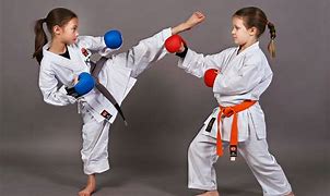 Image result for Fight Classes for Kids