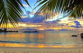 Image result for Tropical Beaches Screensavers