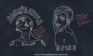 Image result for How to Draw an Adam's Apple