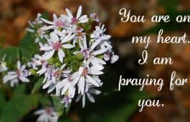 Image result for Praying for You Real Flowers Image