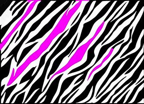 Image result for Pink Zebra Print PNG