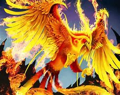 Image result for Phoenix Animation