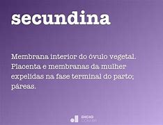 Image result for secundinas
