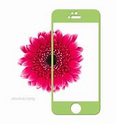 Image result for iPhone 5c Green Screen Protector