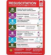 Image result for Recover CPR Chart Dog