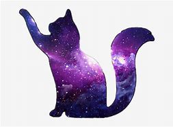 Image result for Galaxy Cat Clip Art