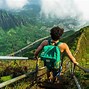 Image result for Hawaii Tourist