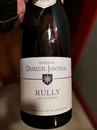 Image result for Dureuil Janthial Rully En Guesnes Vieilles Vignes