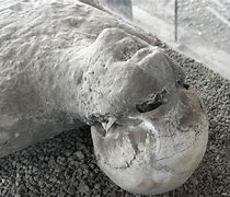 Image result for Pompeii Eruption