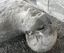 Image result for Bodies Found at Pompeii