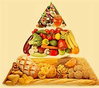 Image result for alimentaruo