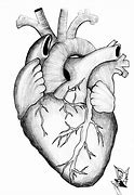 Image result for Heart Drawing Book