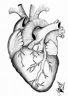 Image result for Heart Drawing Book