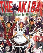 Image result for Akihabara Sega Manga Panel