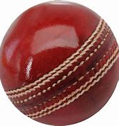 Image result for Cricket Bat