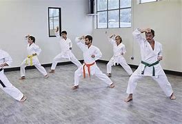 Image result for types of karate