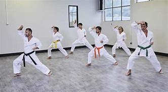 Image result for types of karate