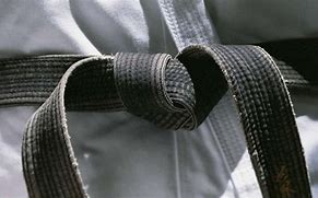Image result for Belt Order of Karate