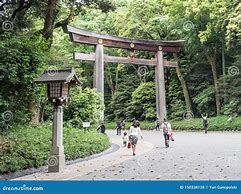 Image result for Meiji Shrine Torii