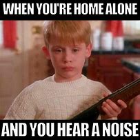 Image result for Home Alone On Saturday Meme