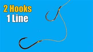 Image result for Bass Fish with 2 Hooks