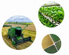 Image result for Robots Used in Farming